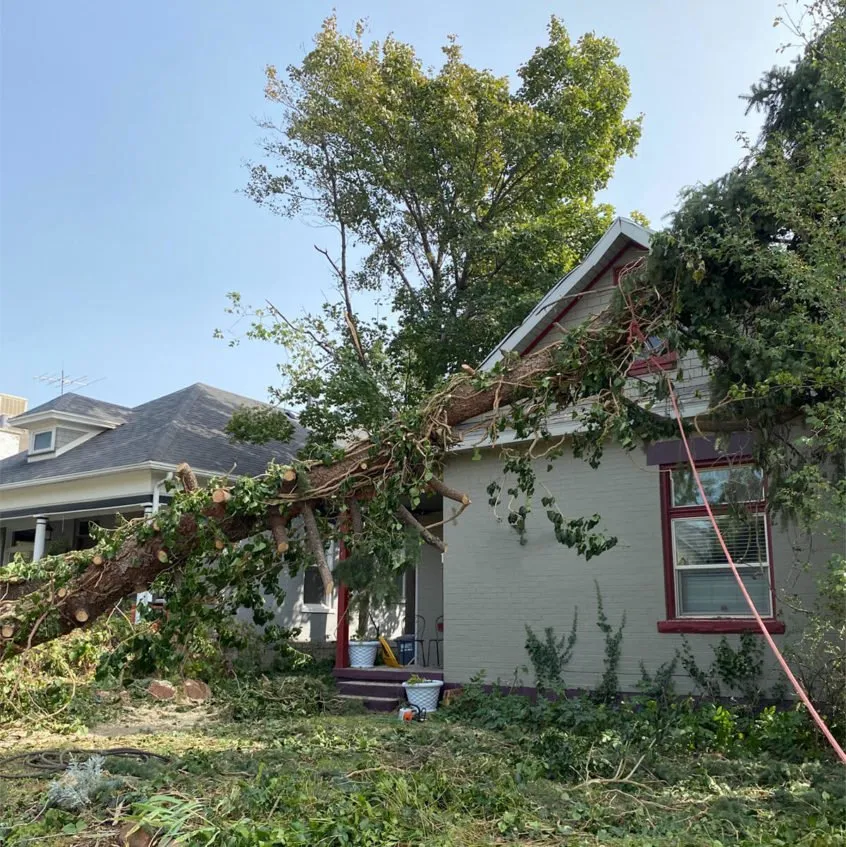 Reliable residential landscaping for year-round maintenance in Lee's Summit, MO by Above Expectations