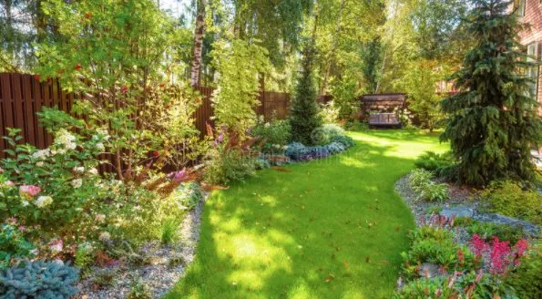 Local yard cleanup service near you across Arlington, WA - Above Ground II Landscaping and Tree Removal