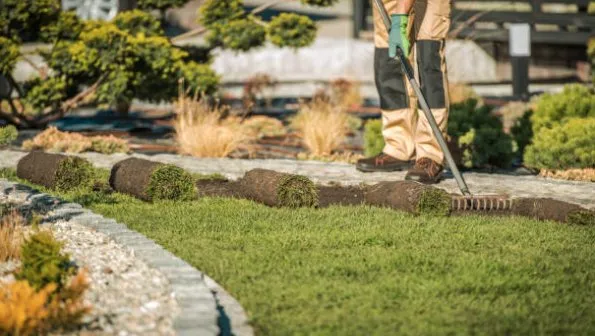 Above Ground II Landscaping and Tree Removal Logo