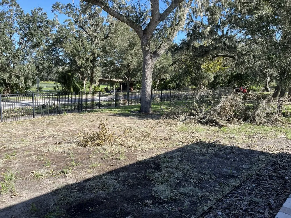 Professional yard maintenance for outdoor upgrades in Plant City, FL by Above Ground Landscape & Nursery