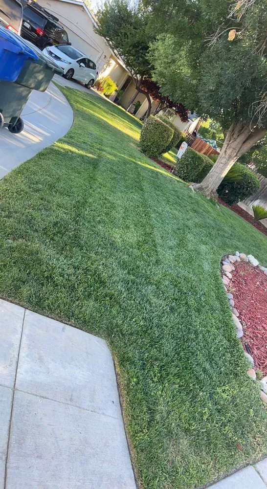 Top-rated landscaping services in Fresno, CA by Above Ground Lawn Care Service