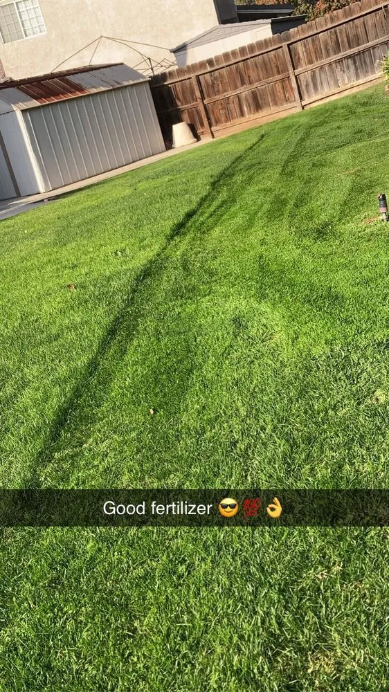 Top-rated lawn mowing service in Fresno, CA - Above Ground Lawn Care Service