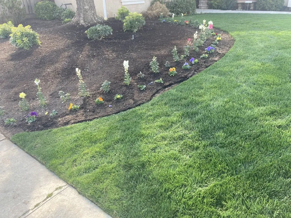 Custom residential landscaping for residential properties across Fresno, CA - Above Ground Lawn Care Service