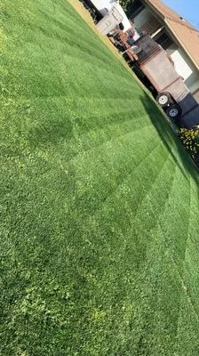 Above Ground Lawn Care Service Logo