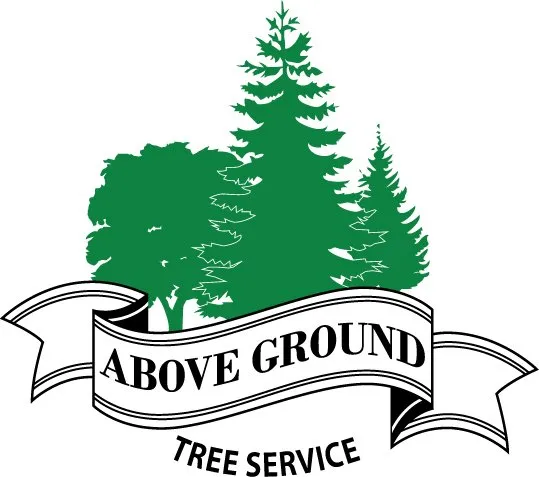 Affordable outdoor landscaping in St Paul, MN by Above Ground Tree and Landscape