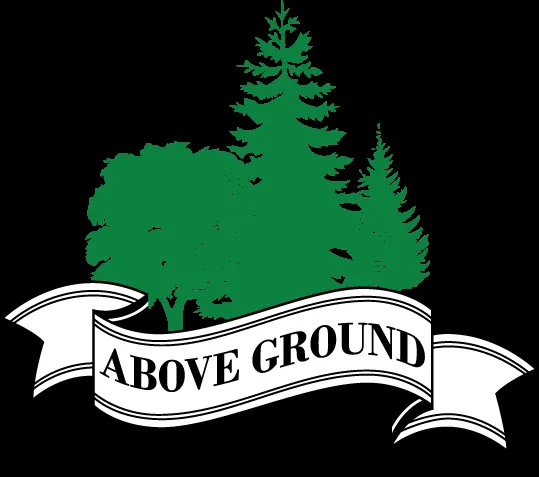 Reliable outdoor landscaping in St Paul, MN - Above Ground Tree and Landscape