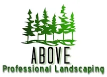 Top-rated garden landscaping for outdoor upgrades across Albuquerque, NM - Above Professional Landscaping