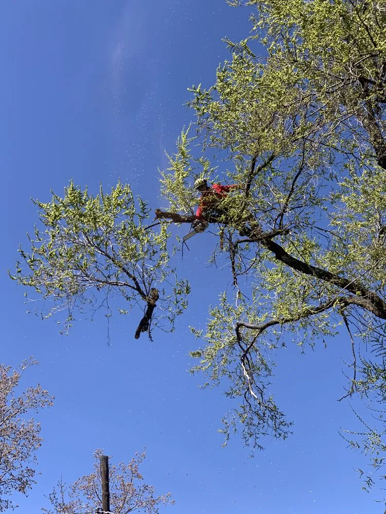 Affordable yard maintenance experts serving Magna, UT - Above Scapes