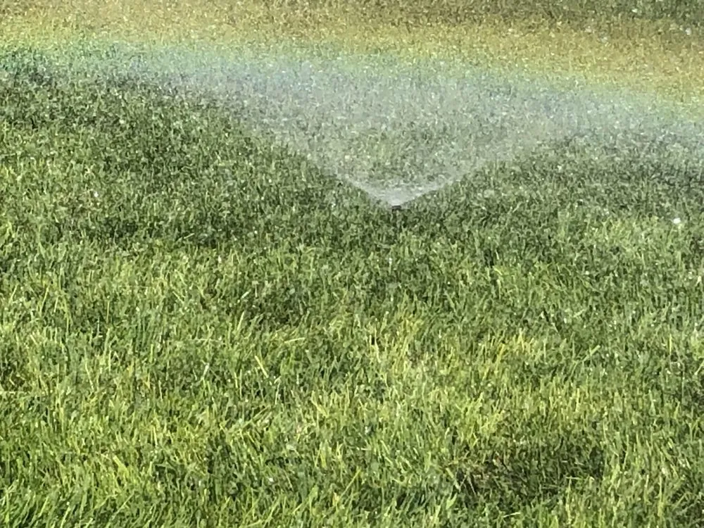 Expert residential landscaping experts serving Magna, UT - Above Scapes