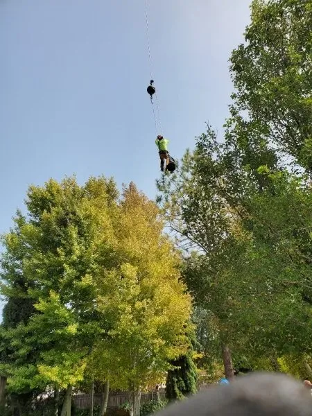 Expert outdoor landscaping in Magna, UT by Above Scapes