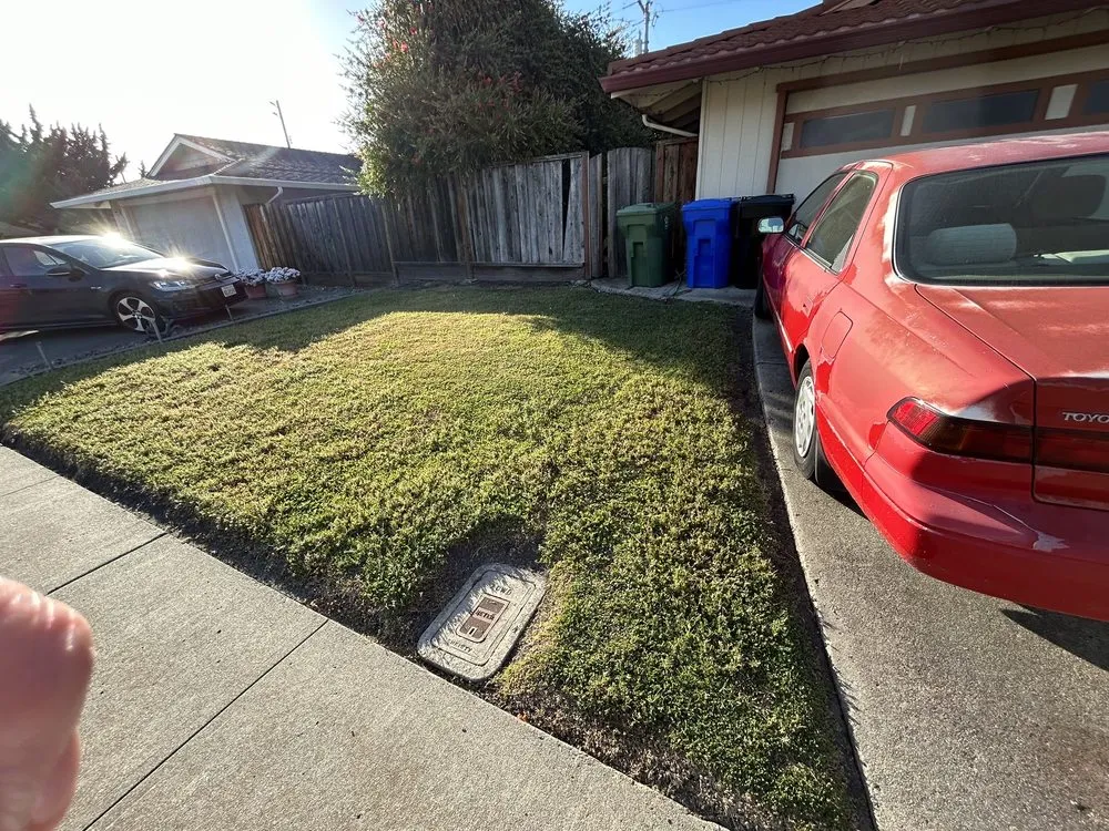 Expert outdoor landscaping for residential properties across San Jose, CA - Above the Cut Gardening and Landscaping