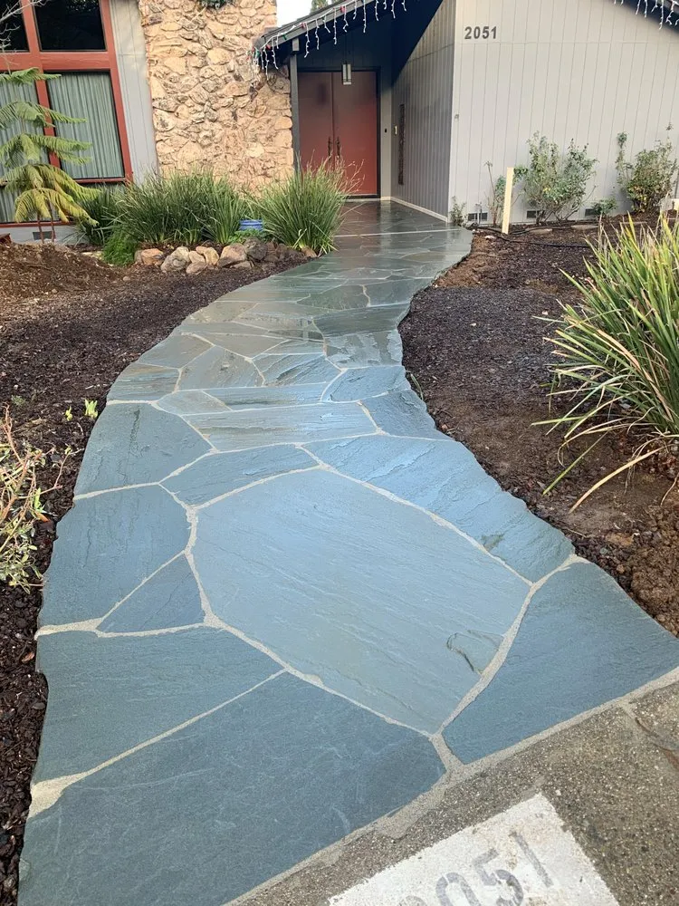 Reliable lawn care service for year-round maintenance in San Jose, CA by Above the Cut Gardening and Landscaping