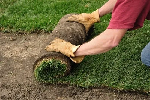 Expert lawn care service in Pasco, WA - Above The Cut Lawn Care