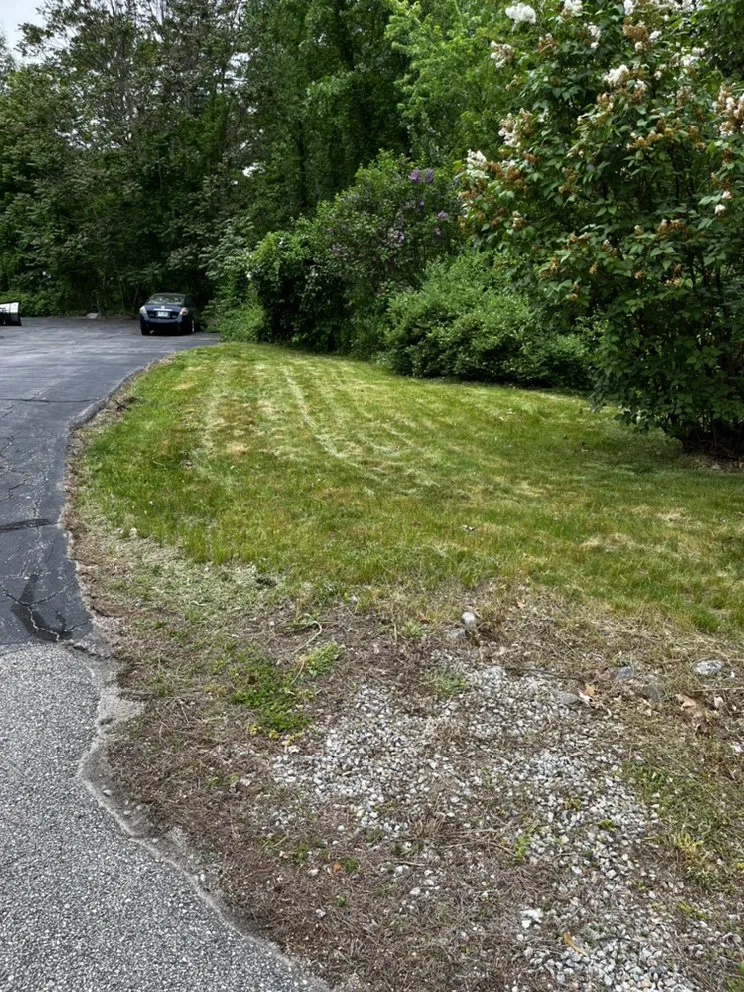 Affordable lawn care service in Manchester, NH by Above The Cut Property Service