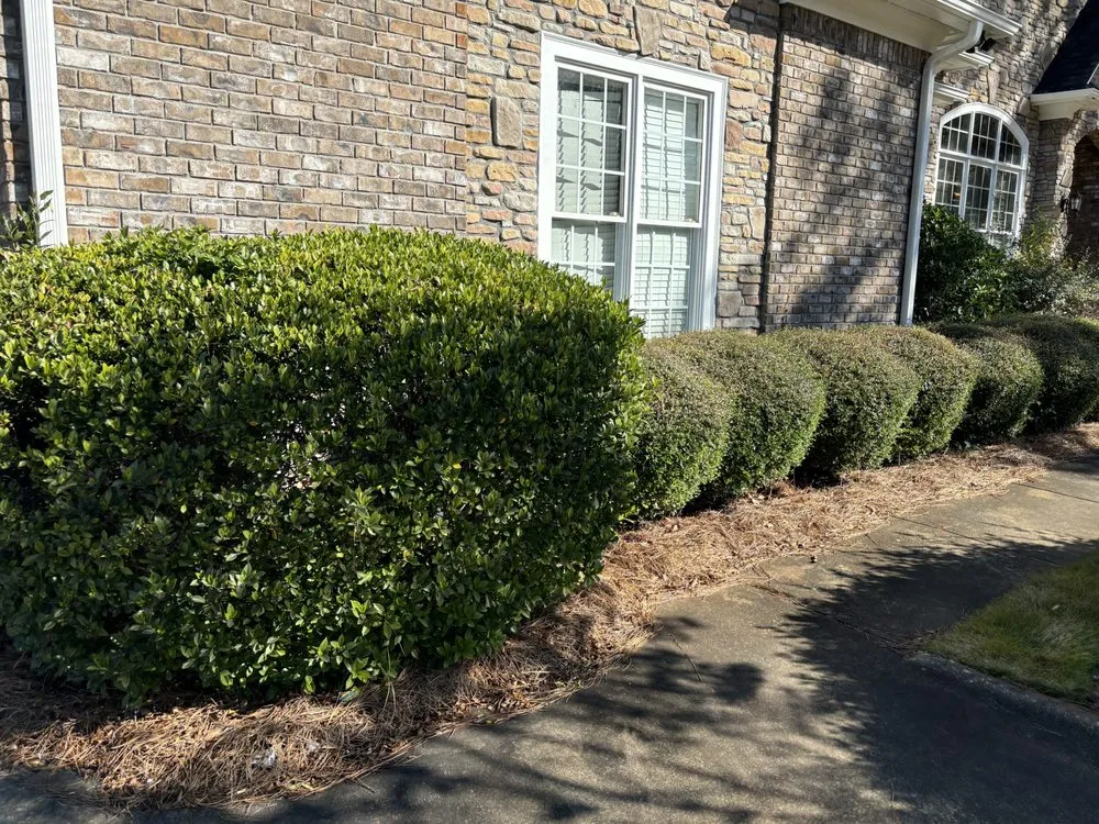 Top-rated landscape design for homes in Columbus, GA by Above The Edge Landscaping