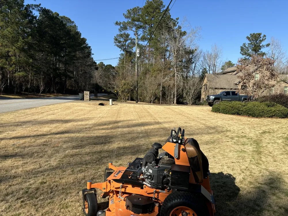 Professional landscape installation in Columbus, GA by Above The Edge Landscaping