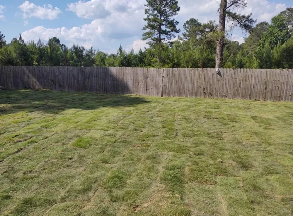 Top-rated yard maintenance experts serving Columbus, GA - Above The Edge Landscaping