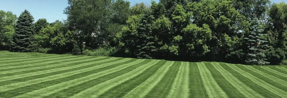 Expert lawn mowing service near you in Mount Gilead, NC by Above The Green Landscapes