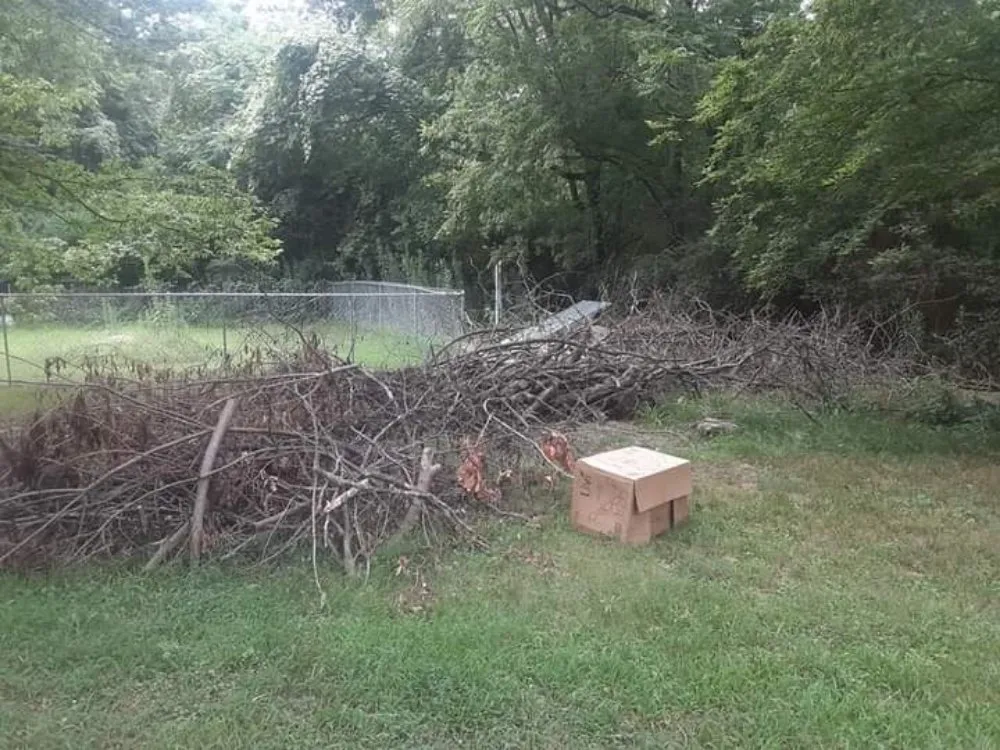 Reliable yard maintenance in Lamar, AR - Above The Green Lawncare