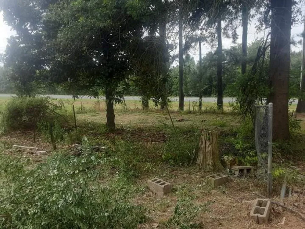 Trusted landscaping services in Lamar, AR by Above The Green Lawncare