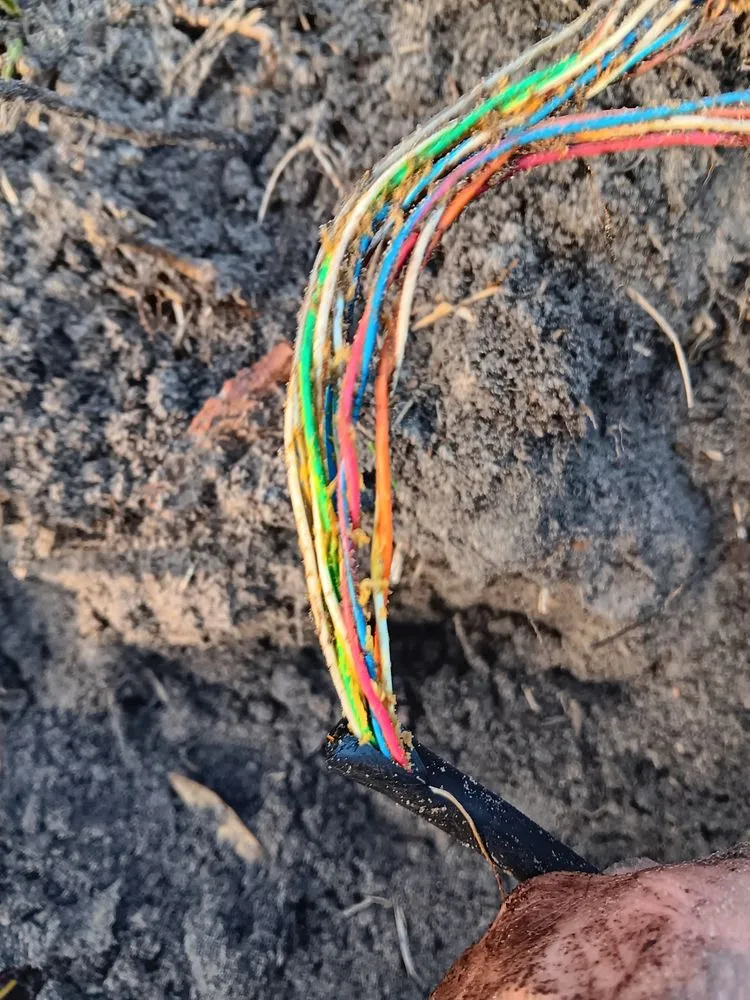 Professional garden landscaping in Homosassa, FL - Above The Rest Irrigation