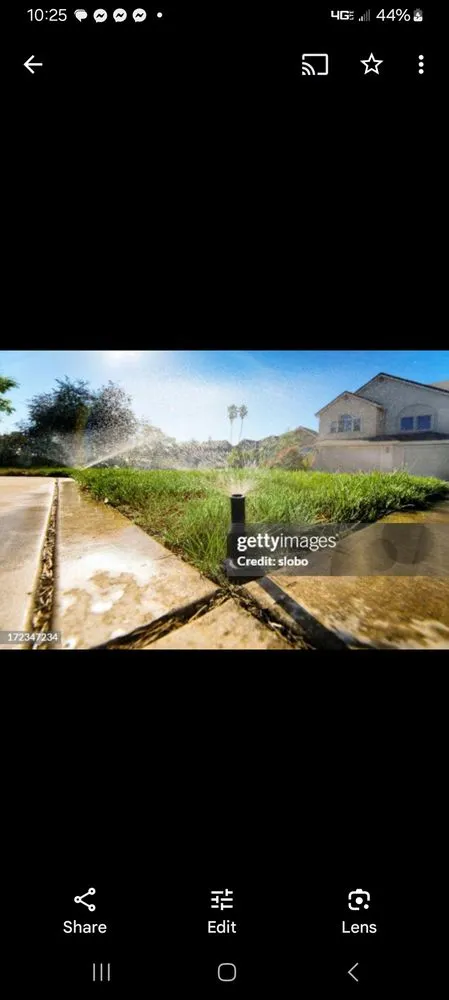 Trusted landscaping services for beautiful yards in Homosassa, FL by Above The Rest Irrigation