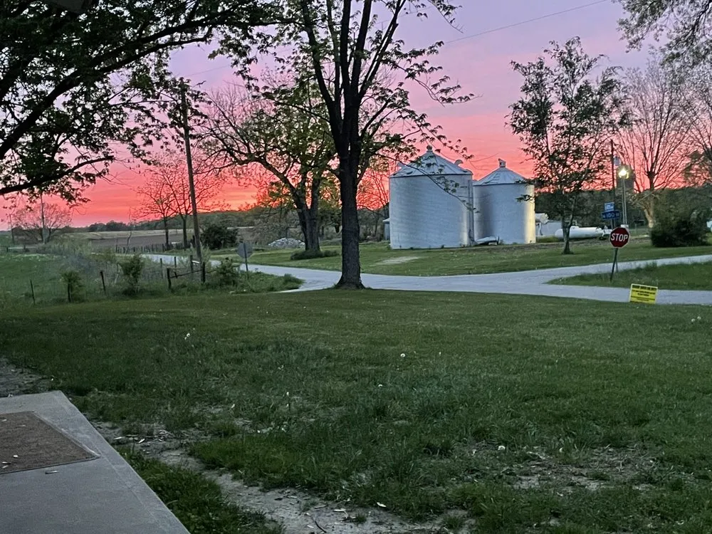 Expert lawn mowing service in Mulberry Grove, IL by Above The Rest Landscape