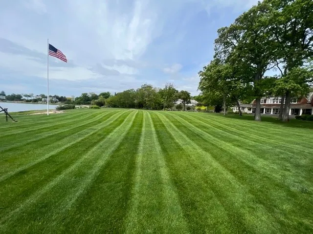 Professional landscaping services in Stamford, CT - Above the Rest Landscape