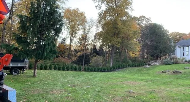 Affordable landscaping services experts serving Stamford, CT - Above the Rest Landscape