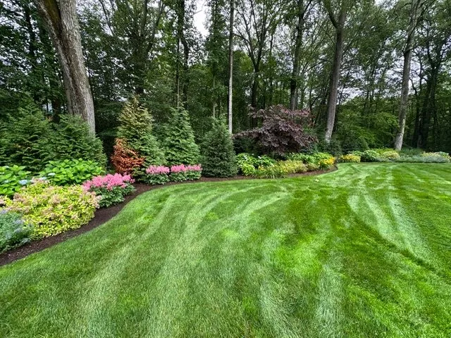 Local landscape installation in Stamford, CT - Above the Rest Landscape