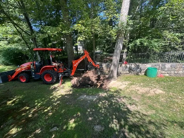 Professional yard cleanup service experts serving Stamford, CT - Above the Rest Landscape