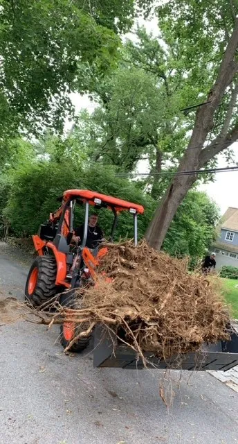 Professional yard maintenance in Stamford, CT - Above the Rest Landscape