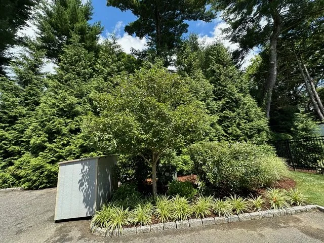 Professional lawn mowing service in Stamford, CT - Above the Rest Landscape