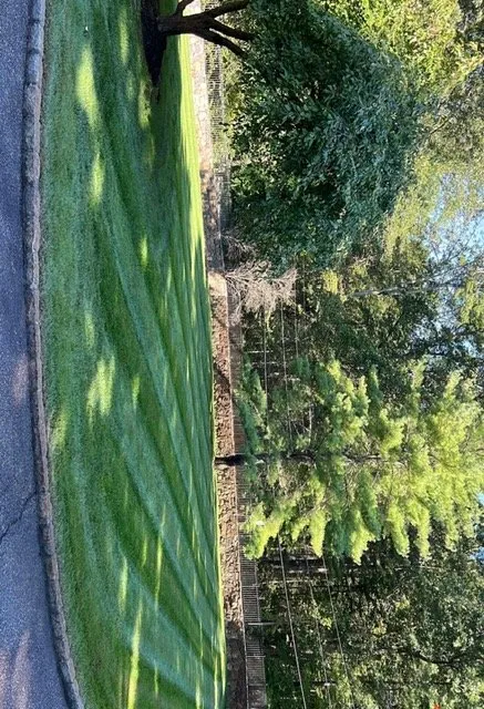 Expert landscape design in Stamford, CT by Above the Rest Landscape