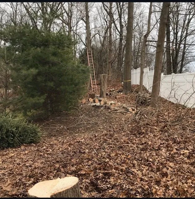 Top-rated landscaping services with custom design across Stamford, CT - Above the Rest Landscape