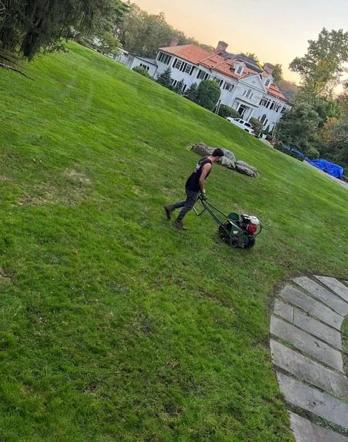 Expert lawn care service in Stamford, CT by Above the Rest Landscape