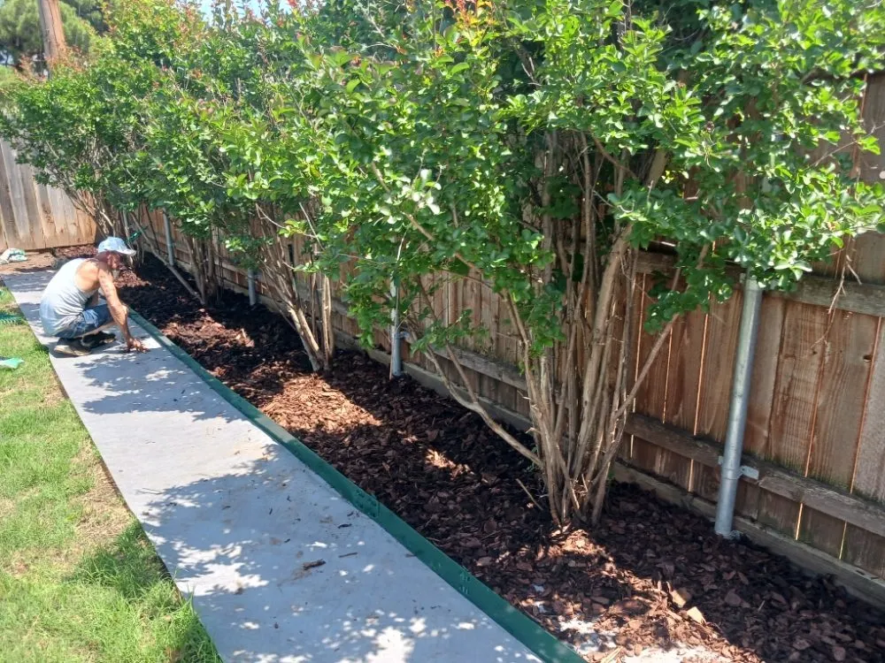 Affordable garden landscaping experts serving Rising Star, TX - Above The Rest Outdoor Services