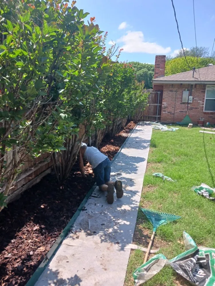 Trusted residential landscaping for beautiful yards across Rising Star, TX - Above The Rest Outdoor Services
