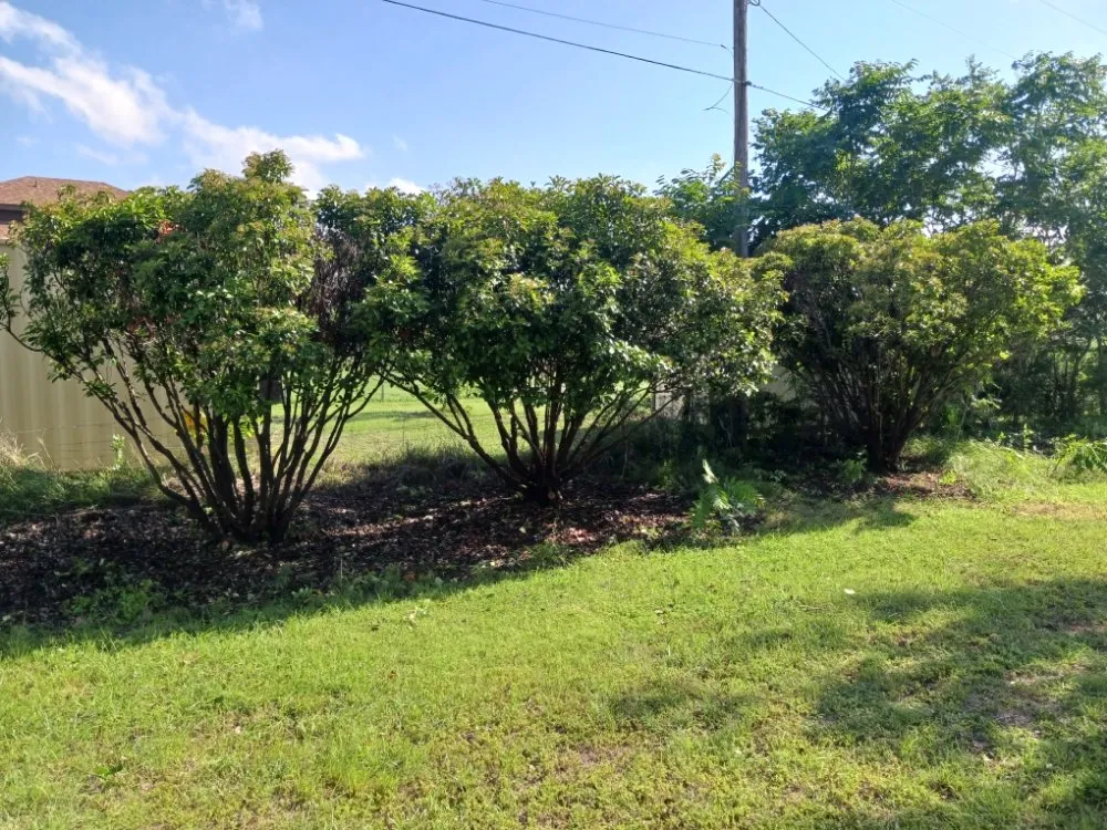 Local lawn mowing service experts serving Rising Star, TX - Above The Rest Outdoor Services