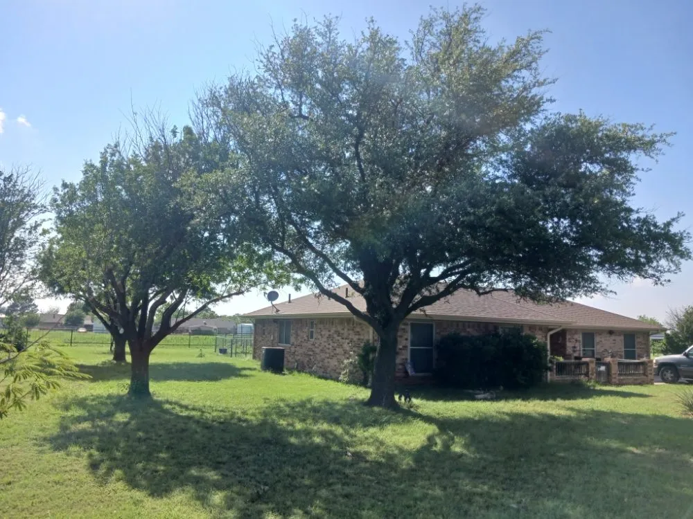 Professional landscape installation in Rising Star, TX by Above The Rest Outdoor Services