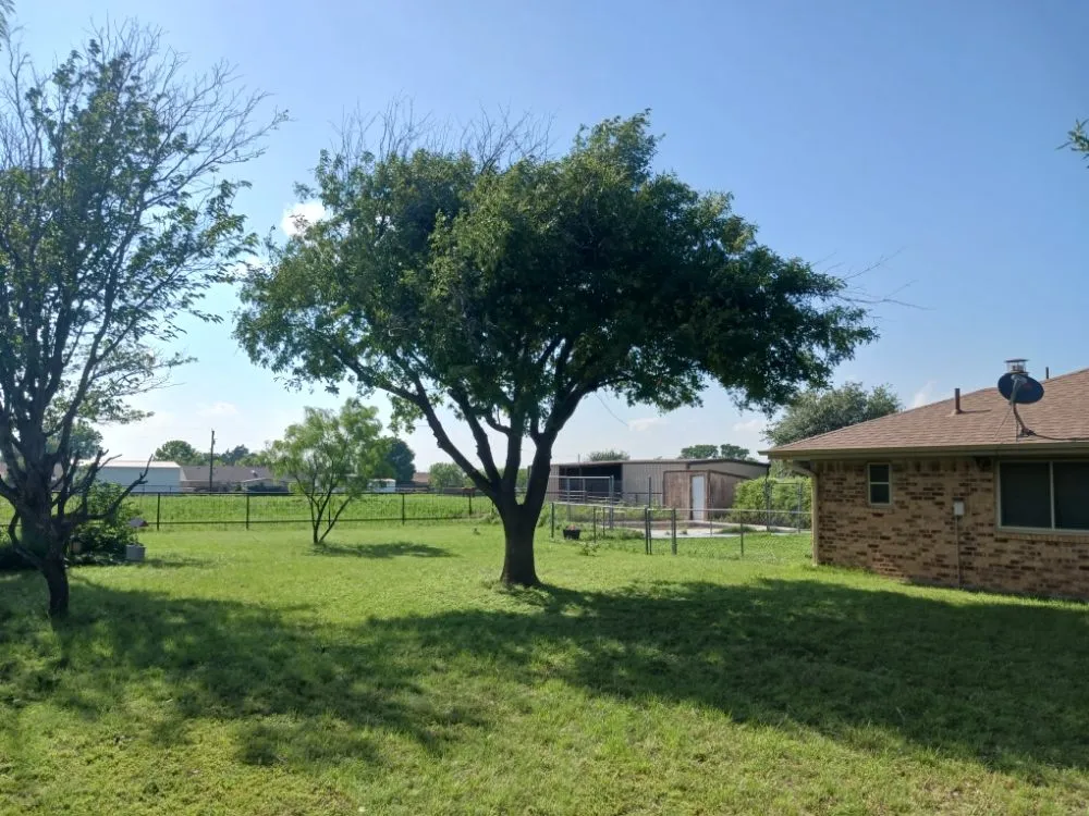 Top-rated lawn care service for residential properties in Rising Star, TX by Above The Rest Outdoor Services