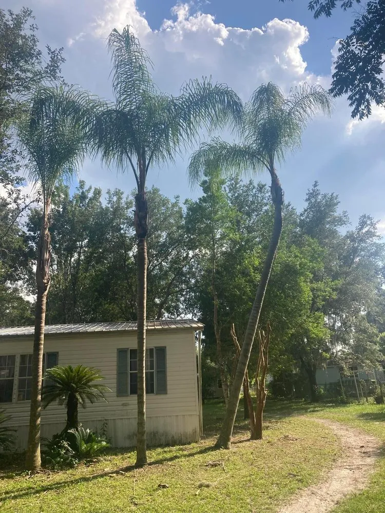 Trusted landscape installation in Palatka, FL - Above The Standard