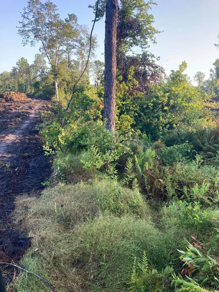 Trusted residential landscaping in Palatka, FL by Above The Standard