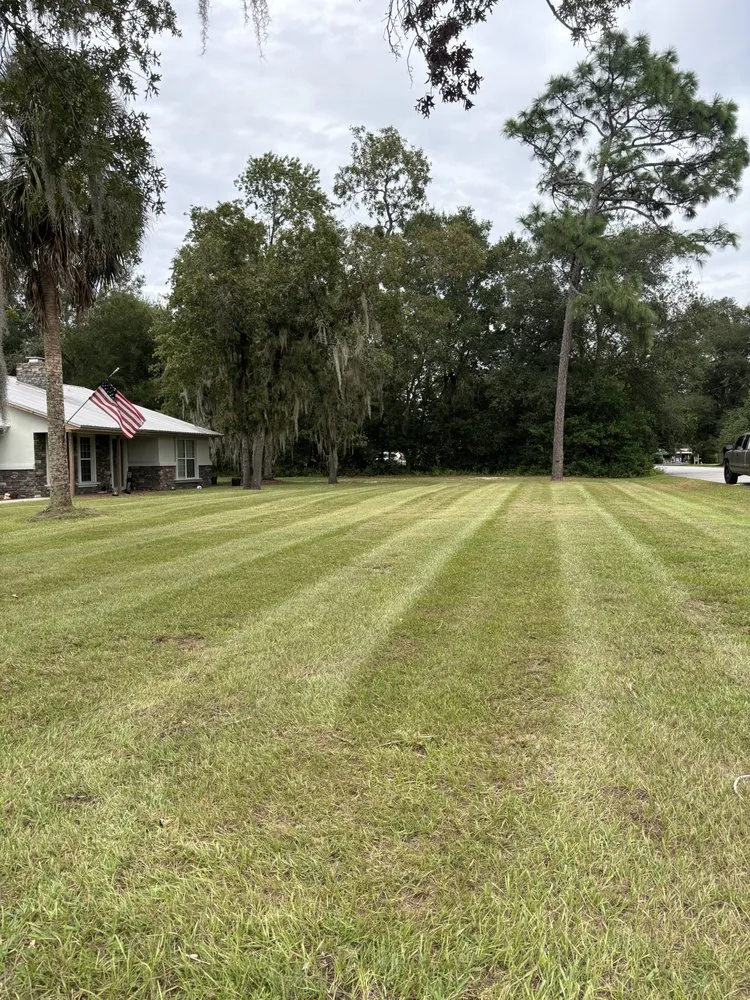 Affordable residential landscaping in Palatka, FL - Above The Standard