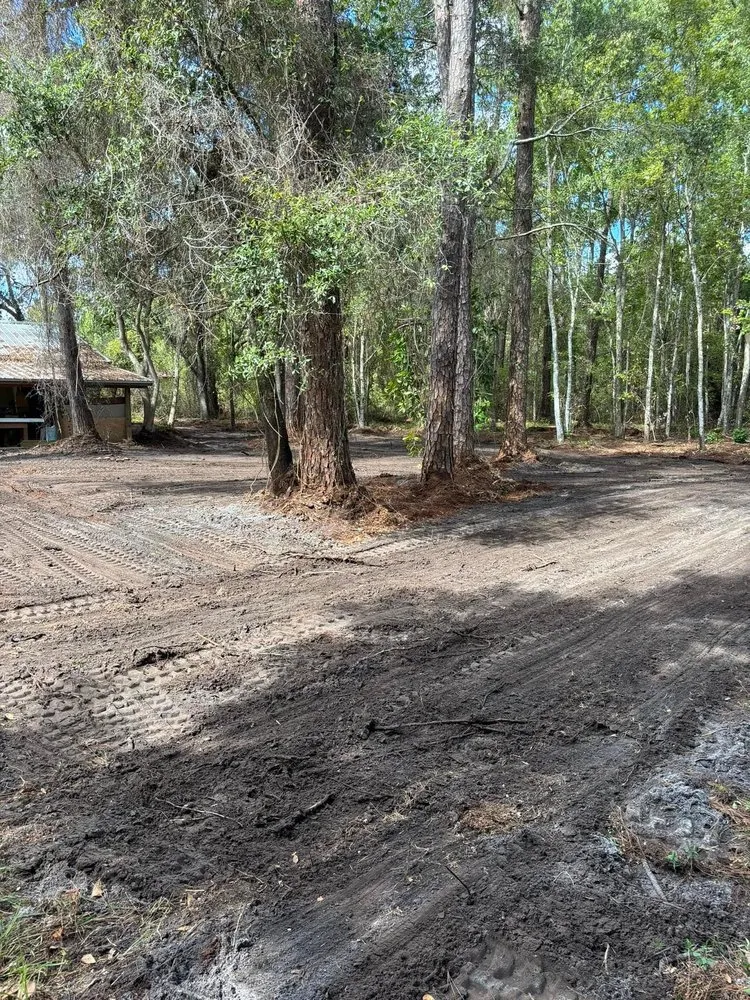Custom yard maintenance in Palatka, FL - Above The Standard