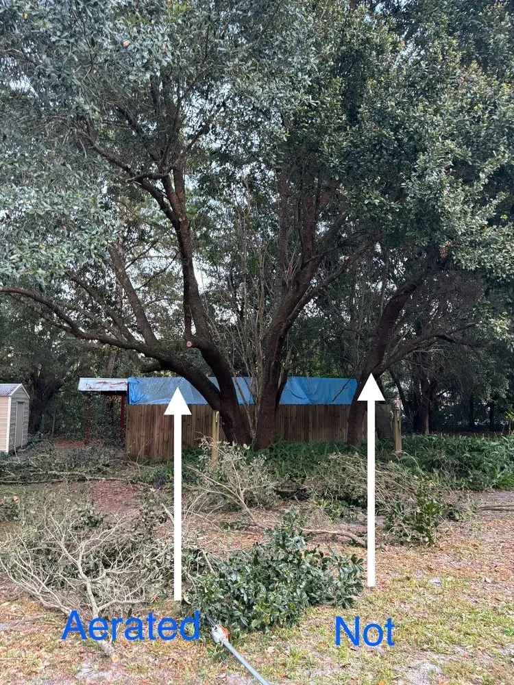 Local residential landscaping in Palatka, FL by Above The Standard