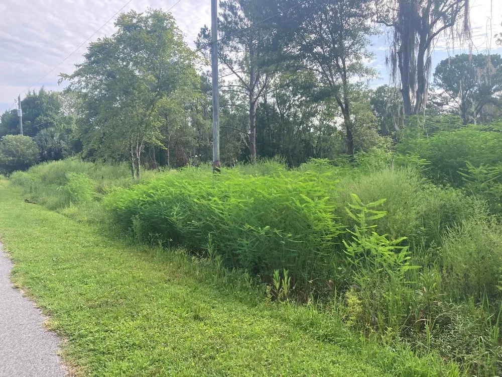 Custom lawn care service near you across Palatka, FL - Above The Standard