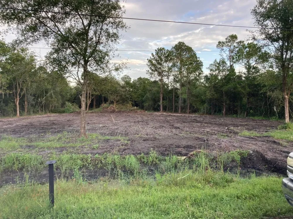 Top-rated landscaping services in Palatka, FL by Above The Standard