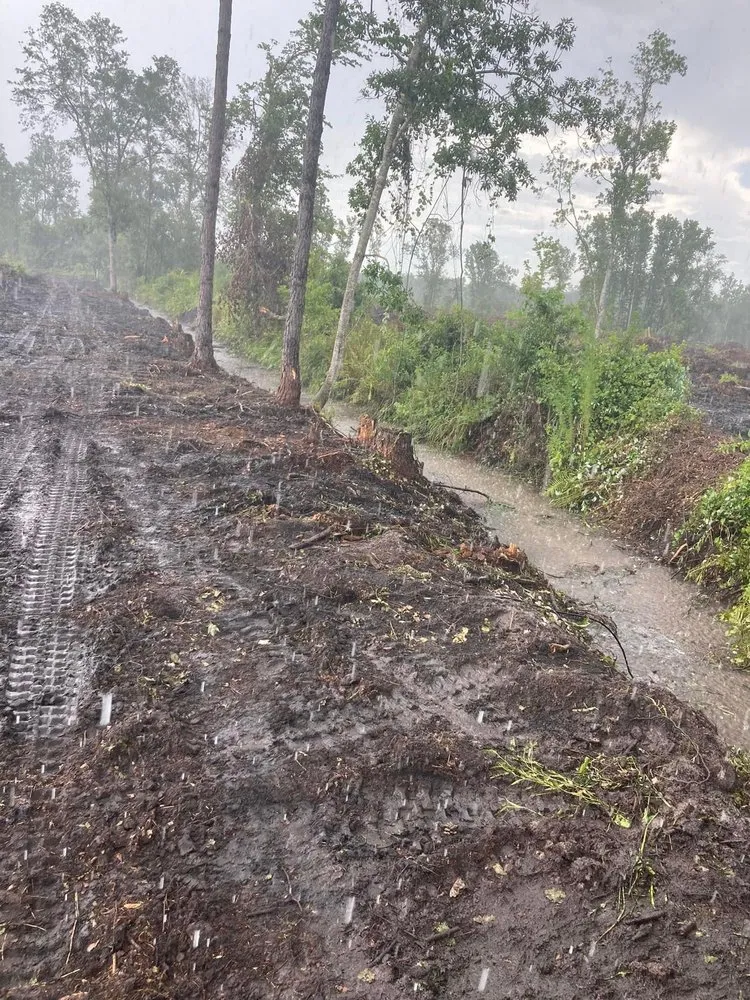 Top-rated yard maintenance in Palatka, FL by Above The Standard