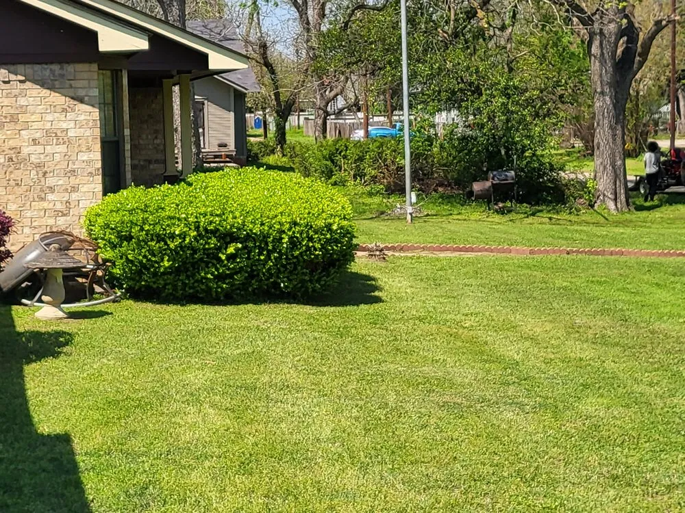 Custom garden landscaping near you in Crockett, TX by ABP Lawn Care